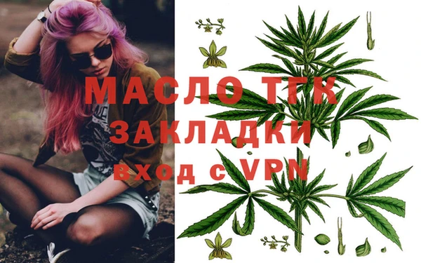 хмурый Инсар