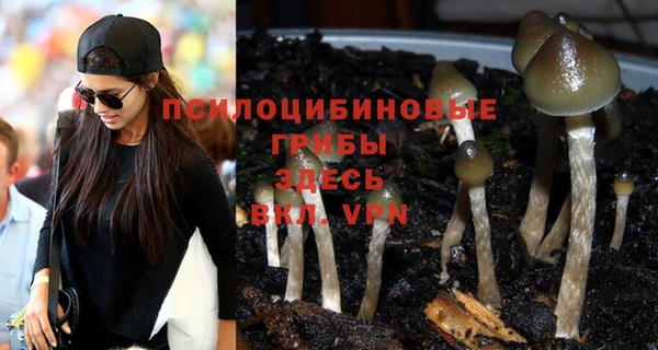 jwh Инта