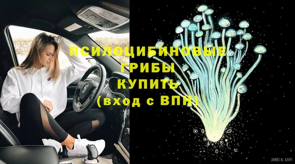 хмурый Инсар