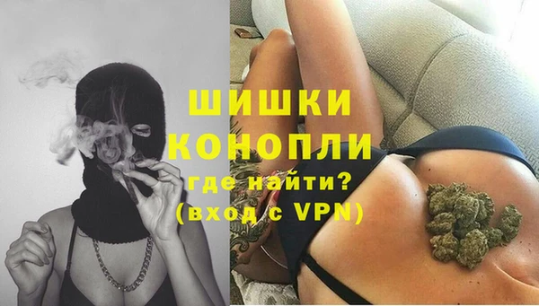 хмурый Инсар