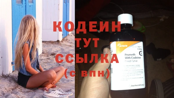 хмурый Инсар