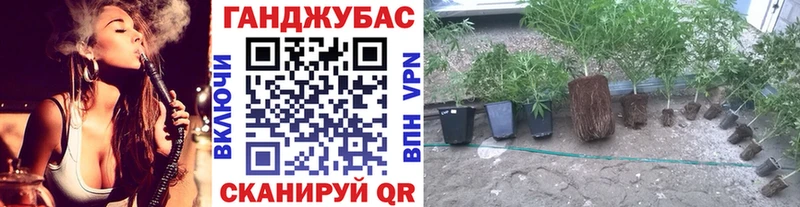 Бошки марихуана индика Купить где Луга